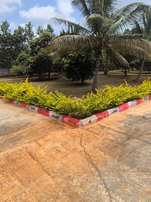  Plot – Garden View at Kanakapura Road - for Sale