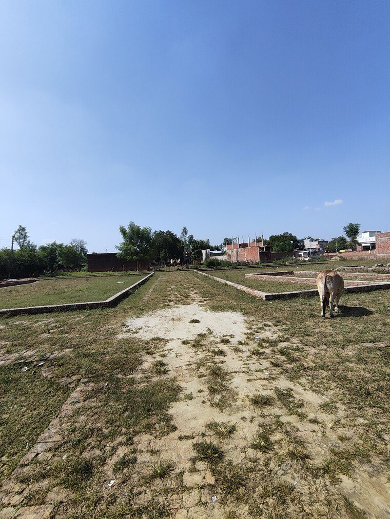 undefined, jankipuram extension  1000 Sq.Ft. Plot In Jankipuram Extension Lucknow 9298248