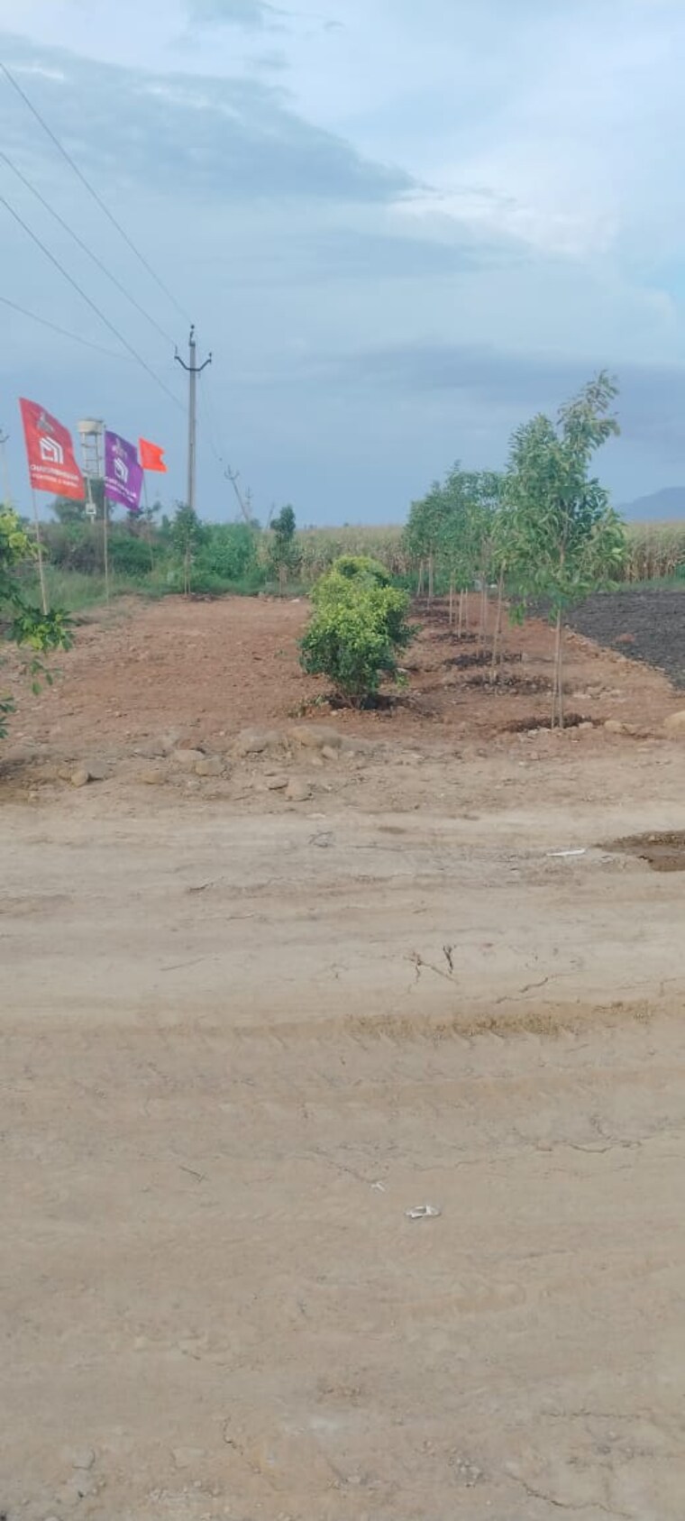 undefined, pamarru  183 Sq.Yd. Plot In Pamarru Vijayawada 9298466