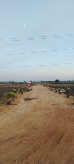 Plot For Sale in Pamarru