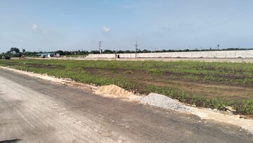 Plot Area in  Plot at Pamarru – for Sale