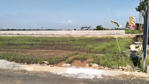  Plot For Sale in Pamarru