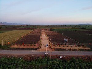 Plot Area in  Plot at Pamarru – for Sale