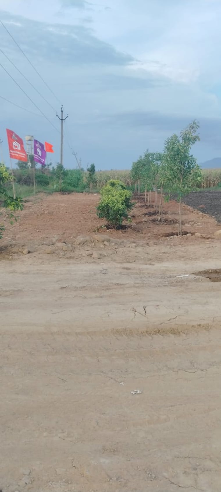undefined, pamarru  155 Sq.Yd. Plot In Pamarru Vijayawada 9298622