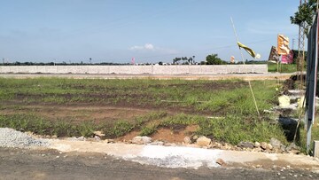 Plot Area in  Plot at Pamarru – for Sale