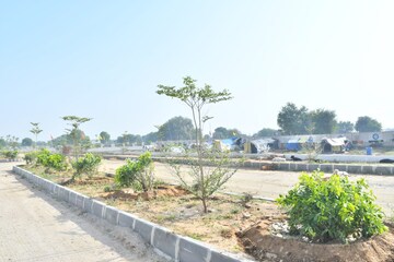 Plot Area in  Plot at Bhapura – for Sale