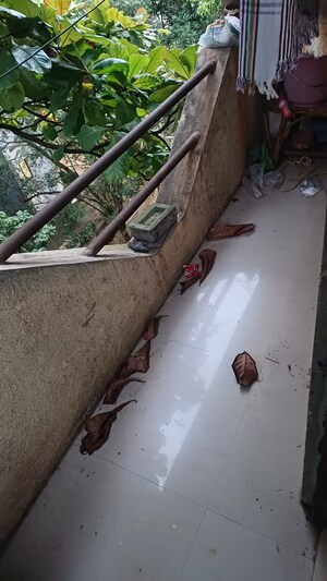 Balcony in 2 BHK Apartment at Baner – for Rent