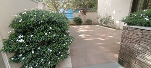 6+ BHK Builder Floor – Garden View at DLF Royale Residences, Dlf Phase I - for Rent