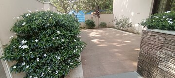 6+ BHK Builder Floor – Garden View at DLF Royale Residences, Dlf Phase I - for Rent