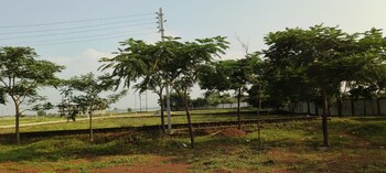 Plot for Sale in Dharampura, Raipur