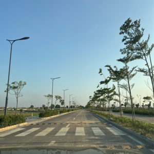 3 BHK Builder Floor – Exterior View View at Tdi City - for Sale