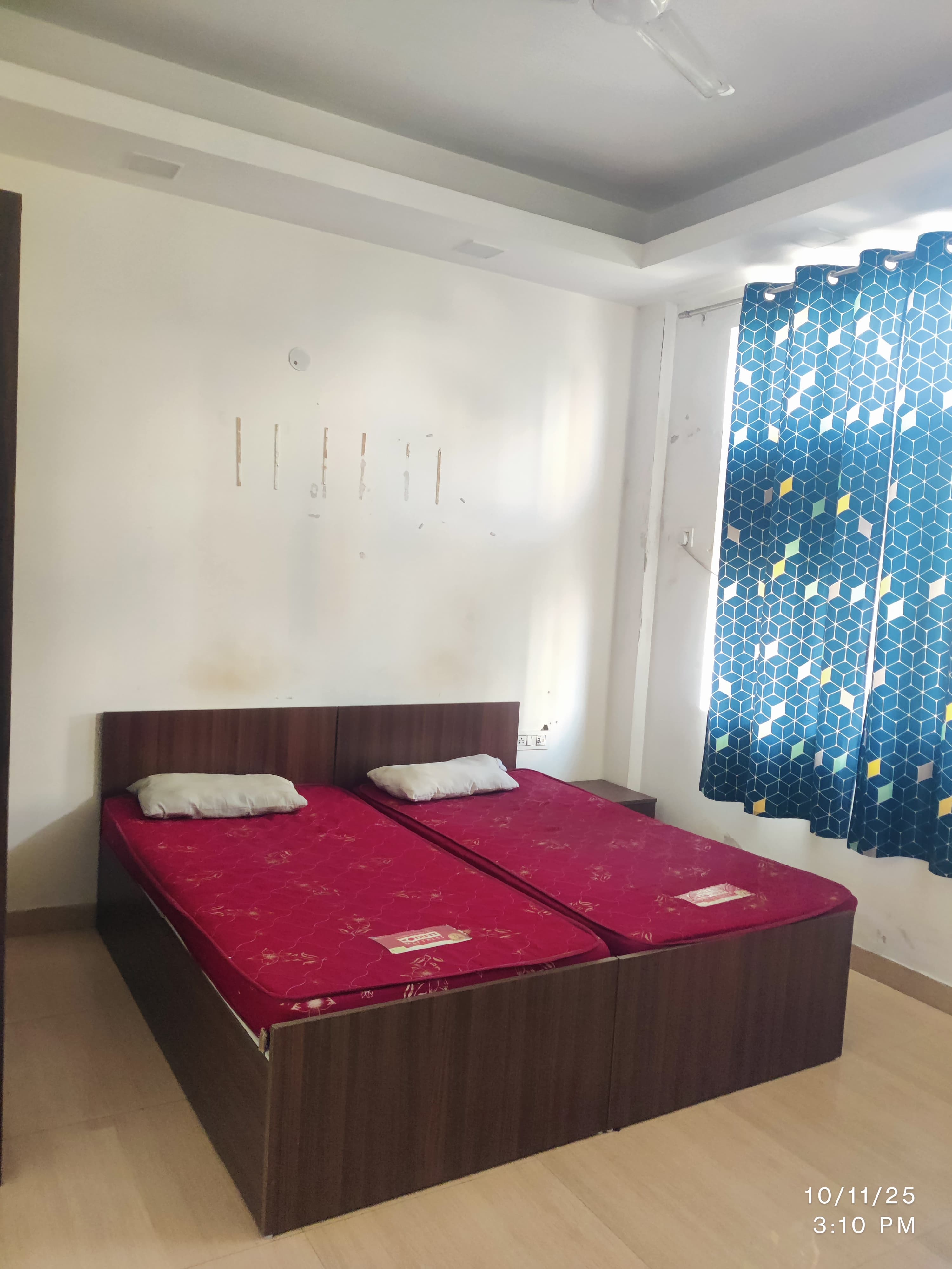 3 BHK Builder Floor For Rent in Sector 30
