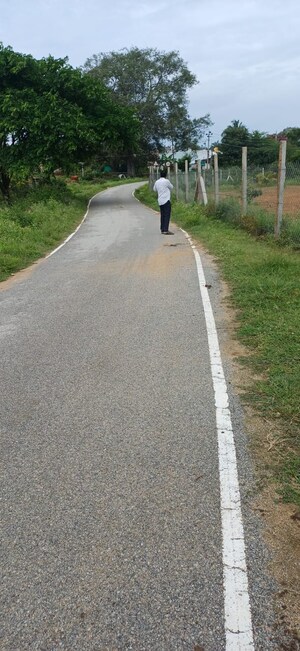  Land For Sale in Rt Nagar