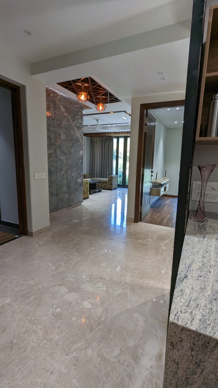 3 BHK + Pooja Room Builder Floor For Rent in Kalkaji , South Delhi 