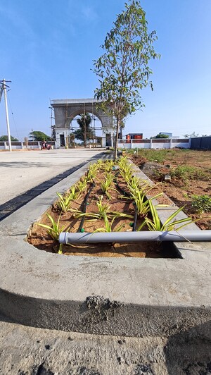  Plot For Sale in Thiruverumbur