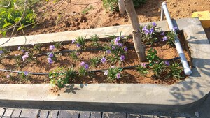 Plot Area in  Plot at Elandapatti – for Sale