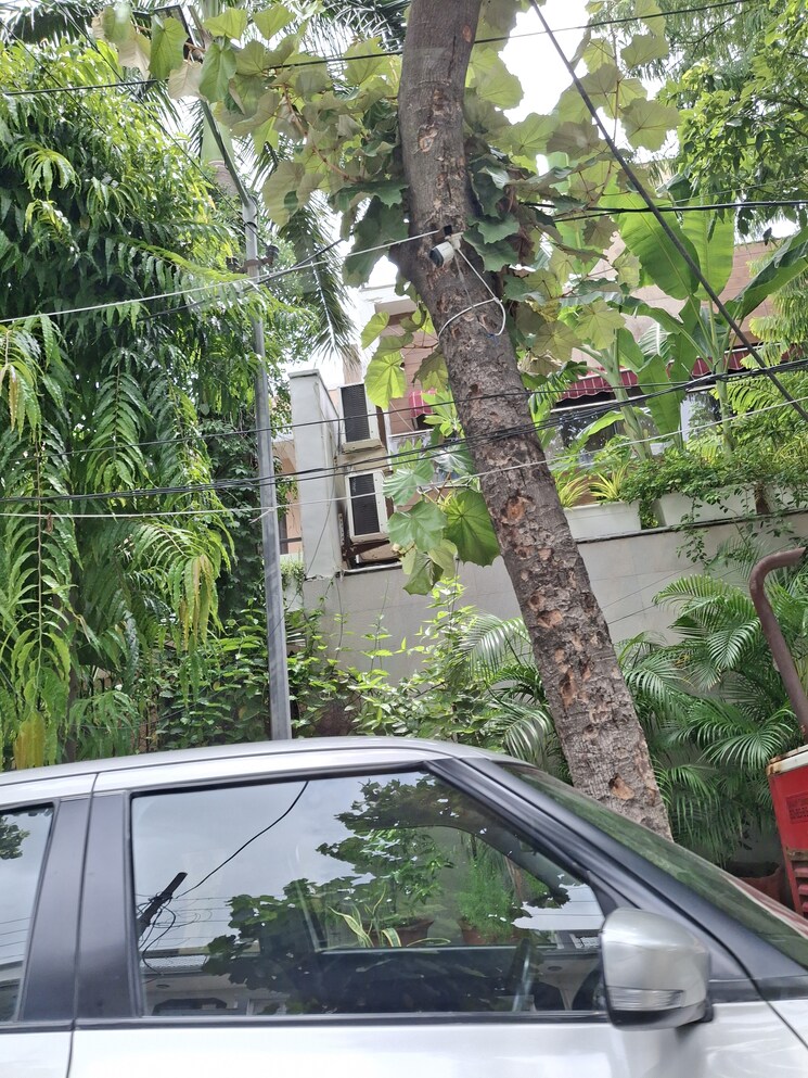 Exterior View, sector 31  162 Sq.Mt. Plot In Sector 31 Noida 9300166