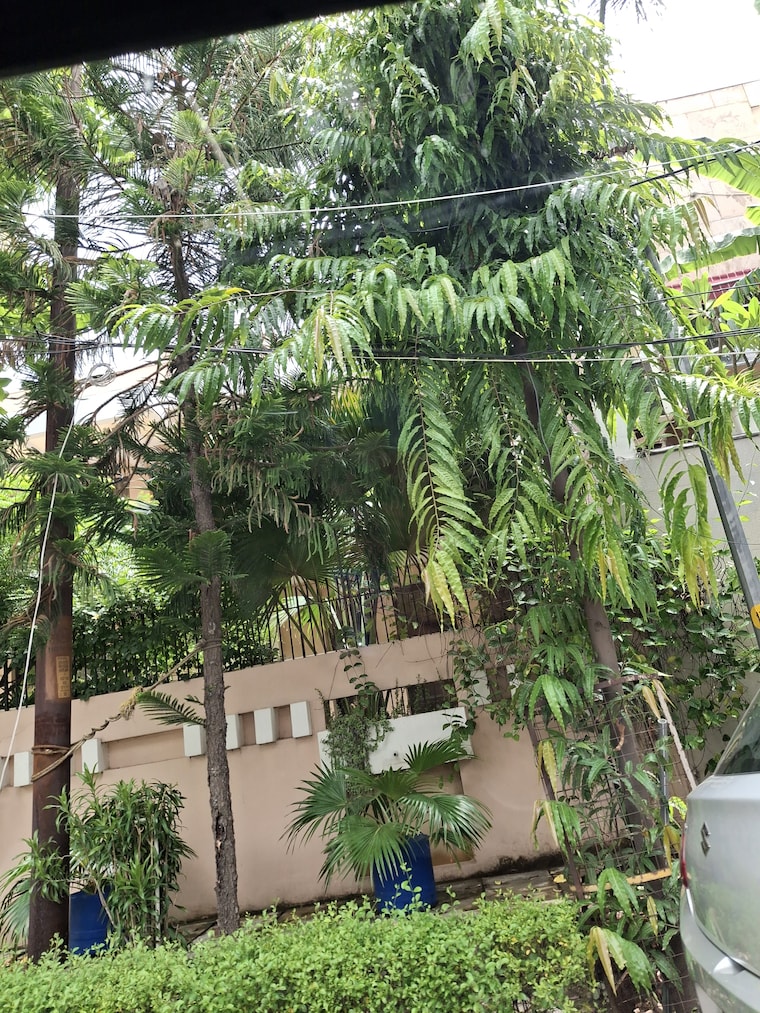 Garden, sector 31  162 Sq.Mt. Plot In Sector 31 Noida 9300166