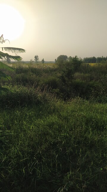  Plot – Garden View at Altus Prime, North Mullanpur - for Sale