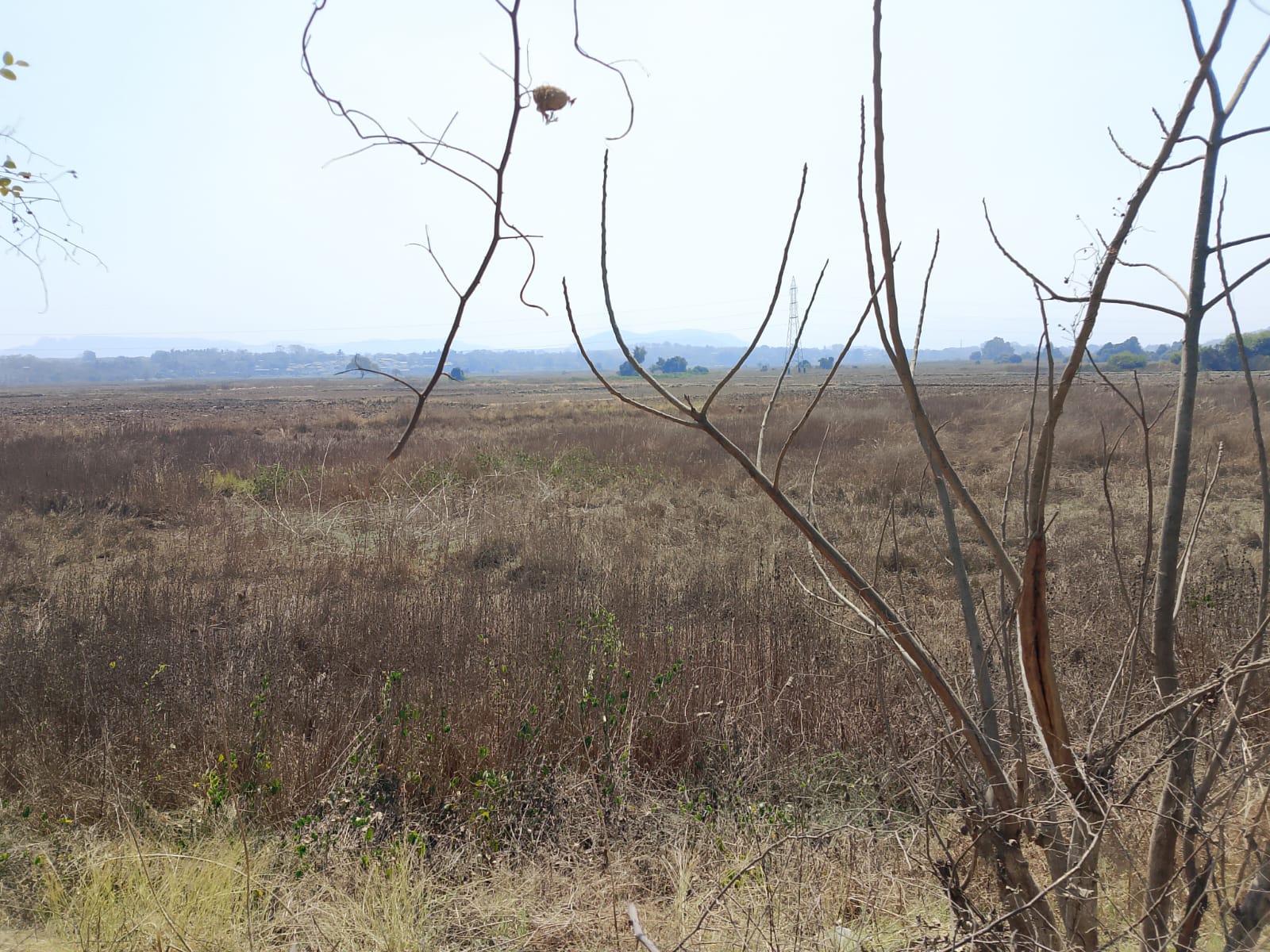 Plot For Sale in Residential Plot 