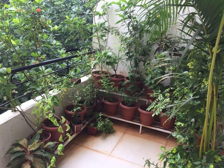 Terrace, vascon-viola 3 Bedroom 1400 Sq.Ft. Apartment In Warje Pune 9300235