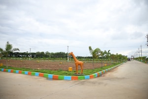  Plot – Exterior View View at Kothavalasa - for Sale