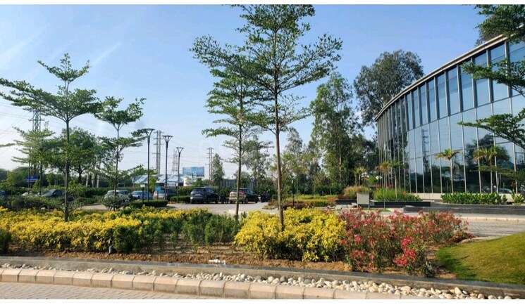 Master Bedroom, signature-global-daxin-vistas 3 Bedroom 1550 Sq.Ft. Builder Floor In Bhondsi Gurgaon 9300657