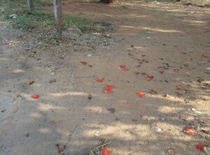  Plot For Sale in Meerpet