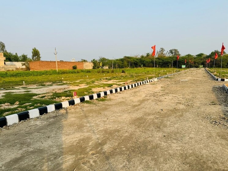 undefined, greater mohali  1000 Sq.Ft. Plot In Greater Mohali Mohali 9300673