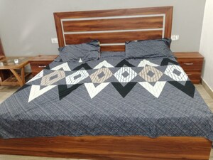 1 BHK Apartment For Rent in Paramount Golfforeste, Zeta I Greater Noida