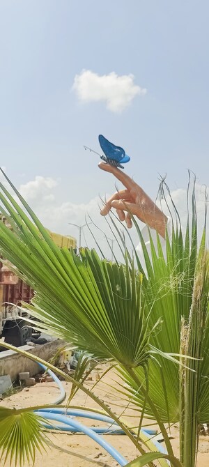  Plot – Exterior View View at Goverdhan - for Sale