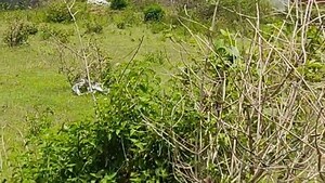 Plot Area in  Plot at Namkum – for Sale