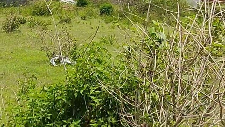 undefined, namkum  2178 Sq.Ft. Plot In Namkum Ranchi 9301316