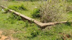 Plot Area in  Plot at Namkum – for Sale