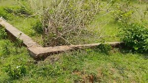 Plot Area in  Plot at Namkum – for Sale