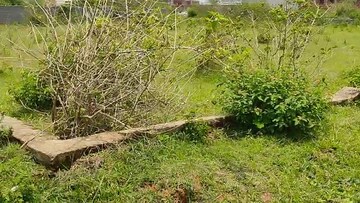 Plot Area in  Plot at Namkum – for Sale