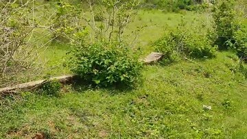 Plot Area in  Plot at Namkum – for Sale