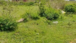 Plot Area in  Plot at Namkum – for Sale