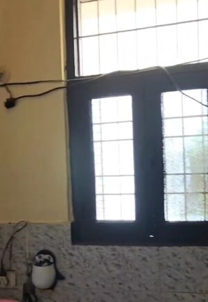 Room in 1 BHK Builder Floor at Lucky The Palm Valley, Sector 1 Greater Noida – for Sale