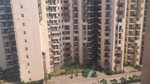 3 BHK + Pooja Room 1595 Sq.Ft. Apartment in Amrapali Golf Homes