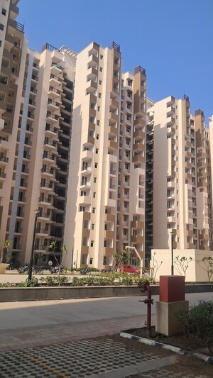 3 BHK Apartment – Exterior View View at Amrapali Golf Homes, Sector 4 Greater Noida - for Sale