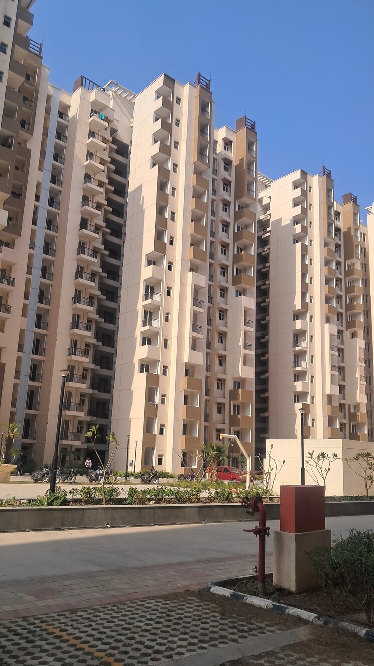 Exterior View, amrapali-golf-homes 3 Bedroom 1595 Sq.Ft. Apartment In Sector 4 Greater Noida Greater Noida 9301448