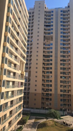 3 BHK Apartment – Exterior View View at Amrapali Golf Homes, Sector 4 Greater Noida - for Sale