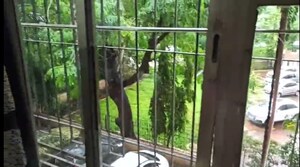 2 BHK Apartment – Exterior View View at Mota Mansion Apartment, Andheri West - for Rent