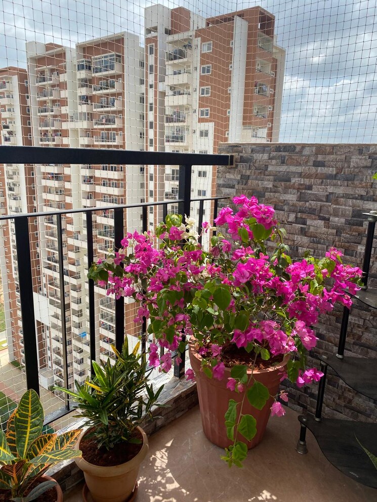 Balcony, myhna-maple 2 Bedroom 1200 Sq.Ft. Apartment In Varthur Bangalore 9301765