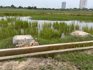  Land For Sale in YEIDA Plots, Dankaur