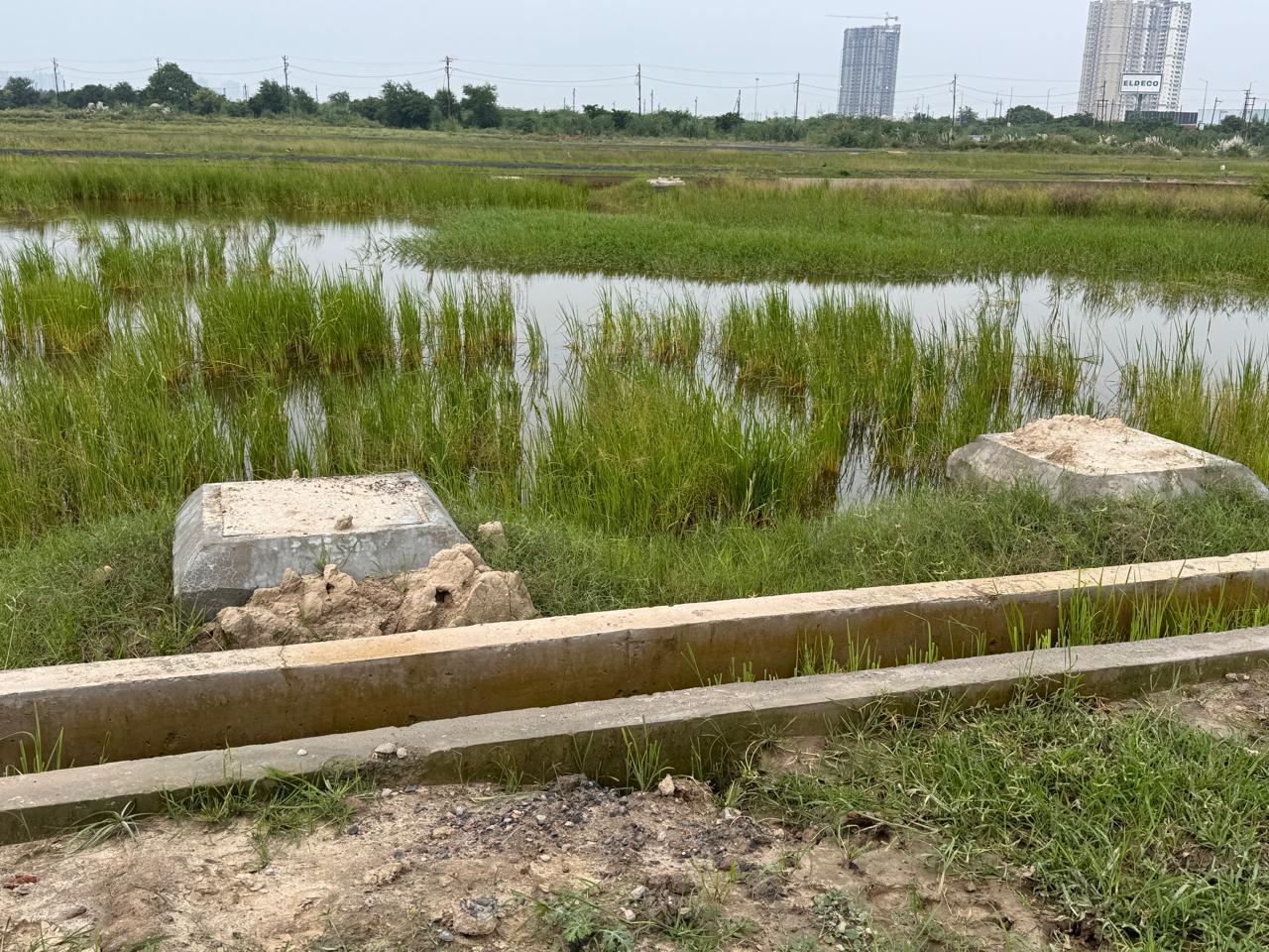 Land For Sale in YEIDA Plots