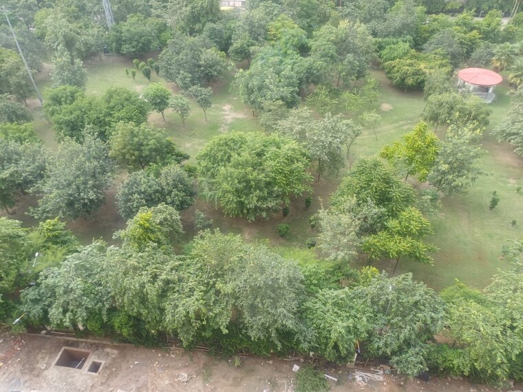 Garden, fusion-the-brook  100 Sq.Yd. Plot In Sector 12 Greater Noida Greater Noida 9302137