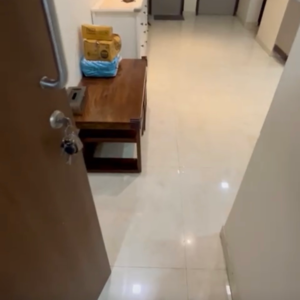 1 BHK Apartment For Rent in Lodha Amara, Sandoz Baug