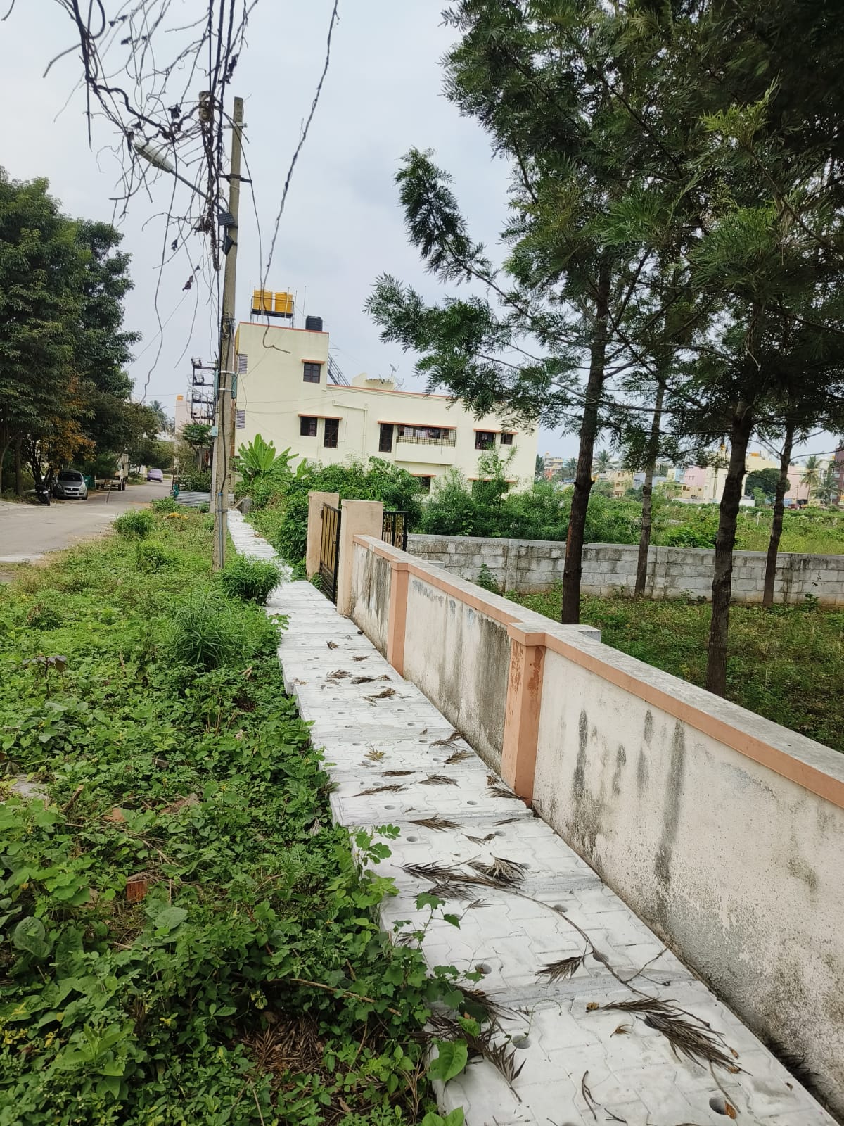 Plot For Sale in Palace Guttahalli